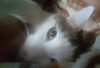 2015-08-29-19-06-24_L.jpg