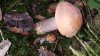 20150913_114830.jpg