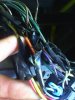 IMG0118A.jpg