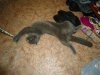 DSC03360.JPG