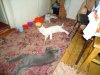 DSC03375.JPG