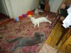 DSC03376.JPG