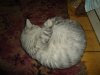 DSC03381.JPG