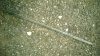 WP_20151102_007.jpg