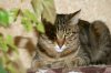 DSC02440.JPG