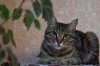 DSC02441.JPG