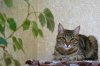 DSC02445.JPG