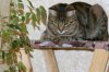 DSC02448.JPG