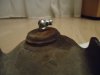 DSC02114.JPG