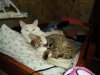 DSC03539.JPG