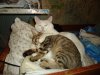 DSC03540.JPG