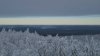 DSC02516.JPG