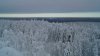 DSC02517.JPG