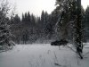 IMG_20160123_125032.jpg