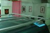 DSC08750.JPG