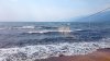 DSC_0529.jpg