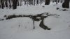 DSC01237.JPG