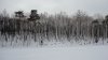 DSC01192.JPG