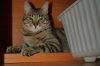 DSC02791.JPG