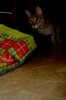 DSC02793а.JPG