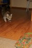 DSC02794.JPG
