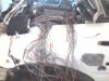 IMG0326A.jpg