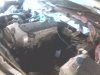 IMG0327A.jpg