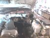 IMG0328A.jpg