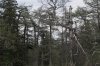 DSC02816.jpg