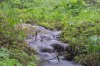 DSC02821.jpg