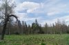 DSC02815.jpg