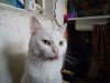 DSC04225.JPG