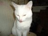 DSC04223.JPG