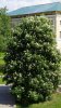 Image00001.jpg