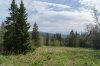 DSC02837.jpg