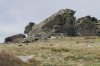 DSC02879.jpg