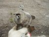 DSC09051.JPG