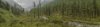 DSC03519-1.jpg