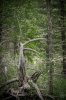 DSC03104-1.jpg