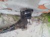 20160820_202130.jpg