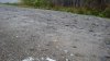 DSC00818.JPG