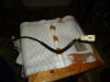 DSC04516.JPG