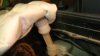 DSC01167.JPG