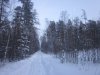 IMG_2555.JPG
