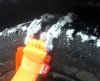20170102_135235.jpg