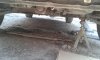 20170426_124937.jpg