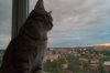 DSC04116-1.jpg