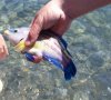 IMG_0558.JPG
