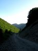 IMG_0614m.JPG