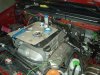 DSC03233.JPG
